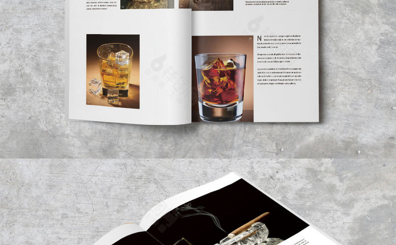 洋酒宣传画册设计