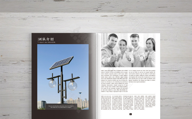 太阳能光伏能源企业画册