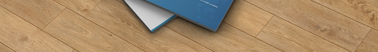 蓝色时尚风软件公司画册