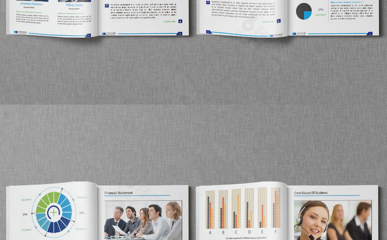 蓝色高端企业画册设计