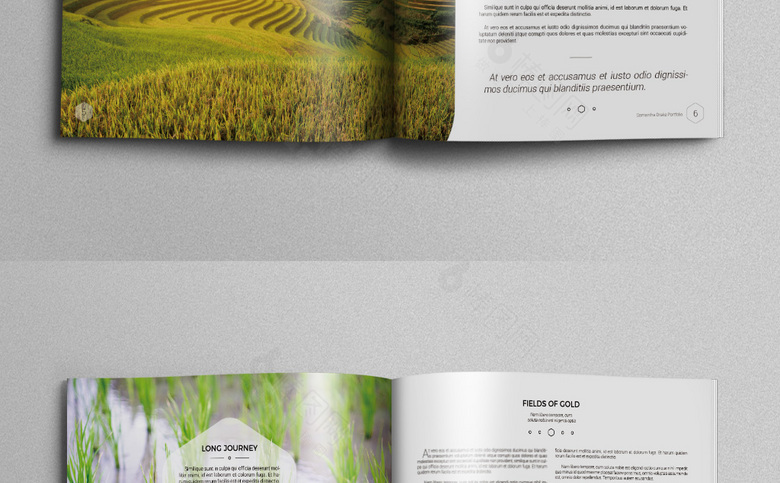 个性大气农业画册