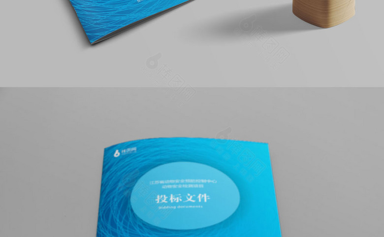 蓝色个性企业标书封面设计