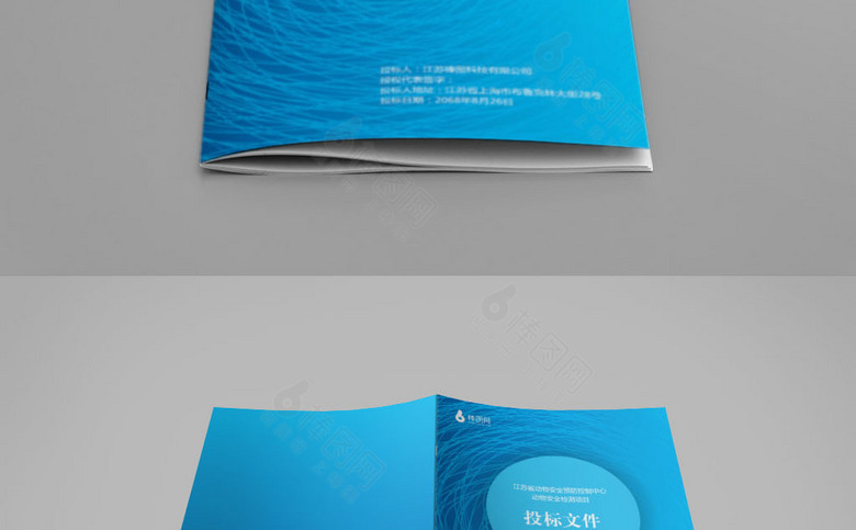 蓝色个性企业标书封面设计
