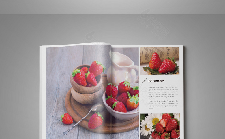精美草莓画册